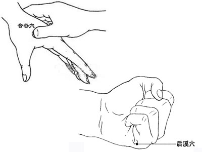 ��Ѫ���������ҽ�����