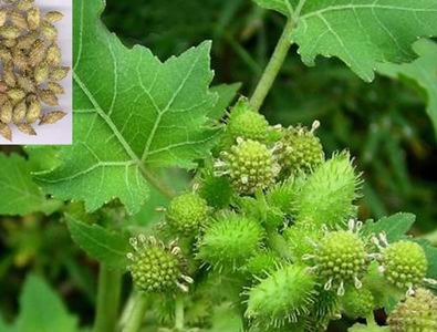 ���n���~�μ�����