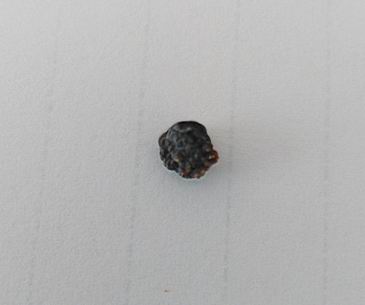 ݔ��ܽY(ji��)ʯ�DƬ