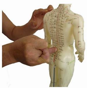 ��^ָᘼ��g����֮��ƽ��ƽ��ȹ�ָ