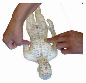 ��^ָᘼ��g(sh��)����֮���۴����(n��i)��ָ