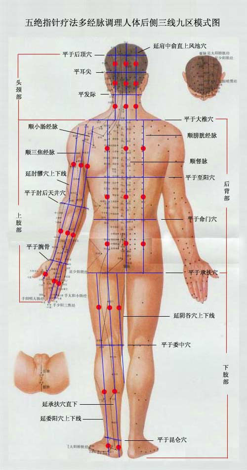 ��^ָᘯ��������Ņ^�Ķ�λ������