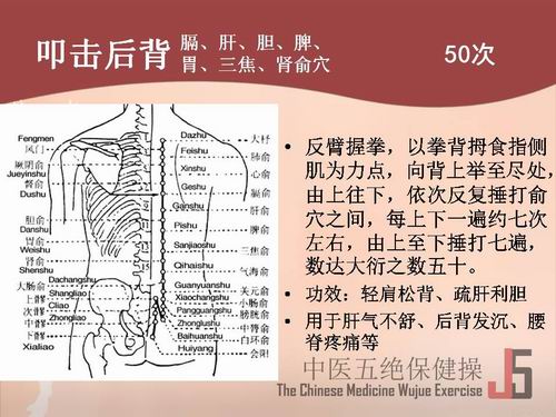 ���t��^������ߵ���󱳣�ߵ�������Ρ�đ��Ƣ��θ���������I��Ѩ50��