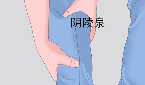 �������Ȫ����Ч������֫���