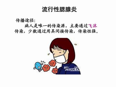 ���t(y��)����������������