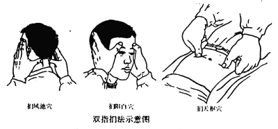 ���t(y��)ָᘯ����Ļ����ַ�