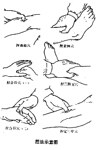 ���t(y��)ָᘯ����Ļ����ַ�