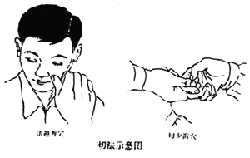 ���t(y��)ָᘯ����Ļ����ַ�