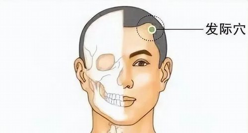 ������Ѩ�����l�HѨ