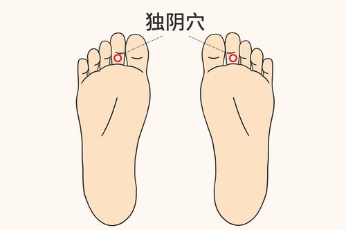 ������Ѩ�������Ѩ