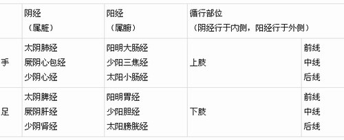 十二經脈的命名及循行部位