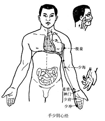 ������Ľ�ѭ��